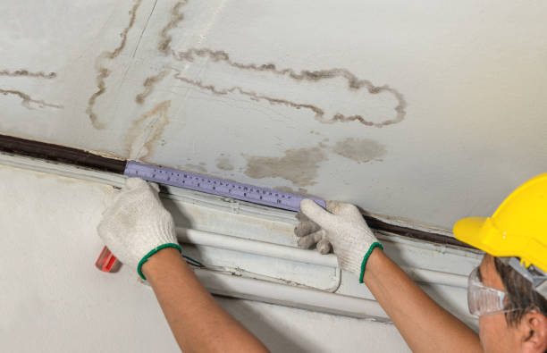 Reliable Flood Cleanup contractor in Springfield, LA by Water Damage Irwin